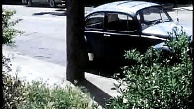 Slutwife Mary için Sabit türk amatör porno hd Horoz Çeşit